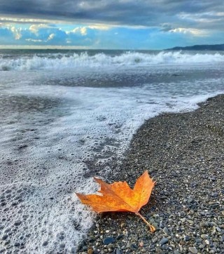 Осенний морской пейзаж