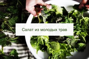 Колющиеся растения