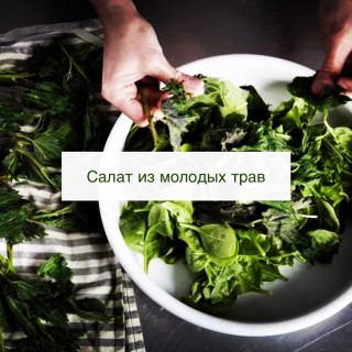 Колющиеся растения
