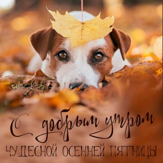 Доброе осеннее утро пятницы