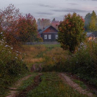 Утро осень в деревне