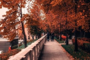 Золотая осень в парке
