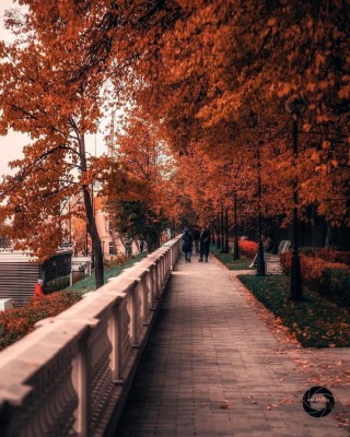 Золотая осень в парке