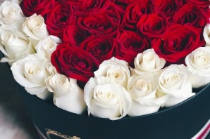 Красивый букет роз для девушки