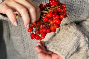 Лесное дерево с красными ягодами