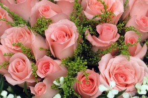 Шикарные розы для шикарной женщины