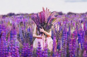 Длинный фиолетовый цветок