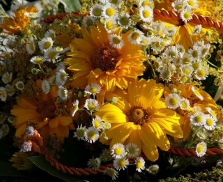 Солнечный букет цветов