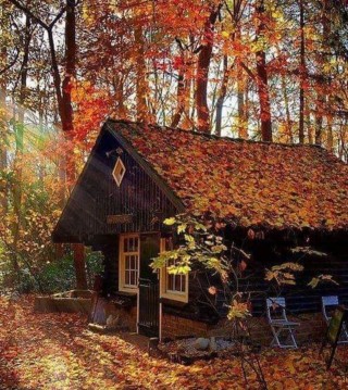 Осень дом в лесу