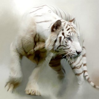 Белая тигрица арт