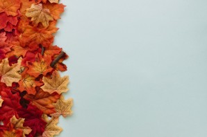 Фон для открытки осень