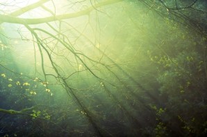 Приятный фон для глаз