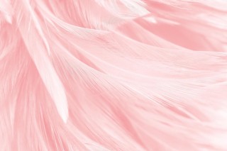 Пудровый фон для презентации