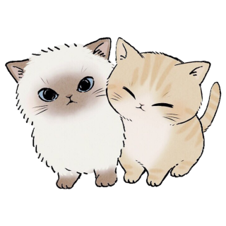 Милый котик на белом фоне