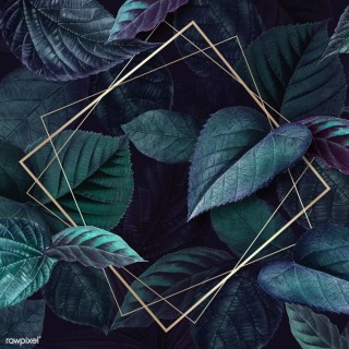 Зеленая листва фон