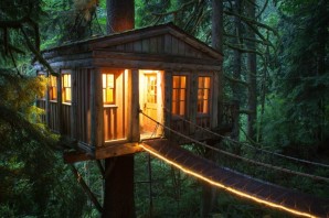 Дом на фоне леса