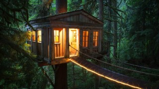 Дом на фоне леса