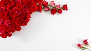 Фон для поздравления с юбилеем женщине