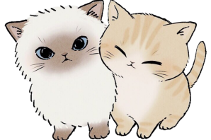 Котик на белом фоне рисунок