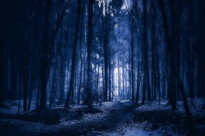Темный лес фон
