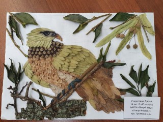 Поделка из природного материала тема птицы