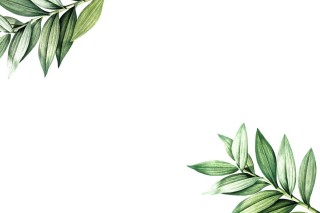 Пустой зеленый фон