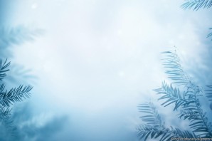 Фон для презентации зима