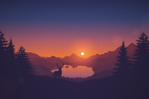 Лес закат фон