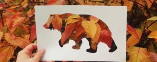 Медведь из листьев аппликация