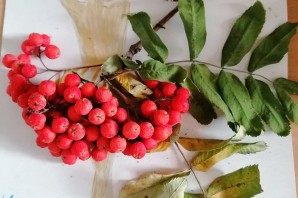 Поделка из рябины в школу