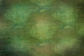 Болотный фон для презентации