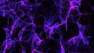 Черно сиреневый фон