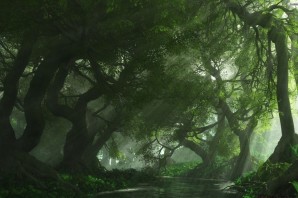 Фон зеленый лес