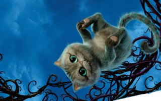 Прикольные обои на ноутбук
