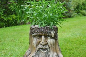 Поделка из пенька