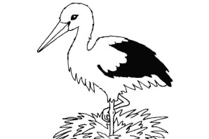 Шаблон аиста для поделки из семечек