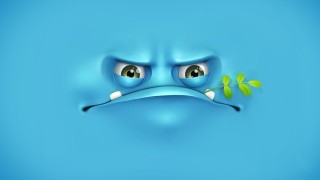 Красивые смешные обои на рабочий стол