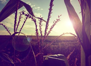 Обои на главный экран для вдохновения