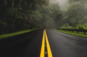 Дорога в лесу обои