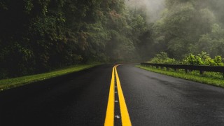 Дорога в лесу обои