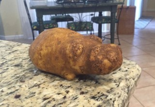 Бегемот из картошки