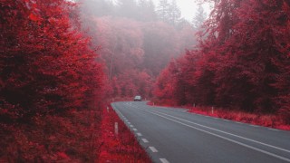 Осенняя дорога обои на рабочий стол