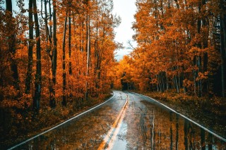 Осень дорога обои