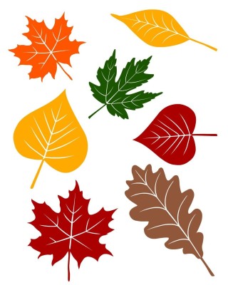 Цветные листья шаблоны для вырезания