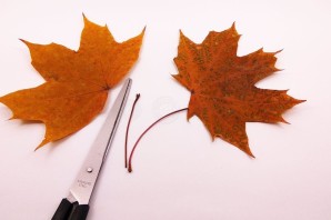 Бабочка из кленовых листьев