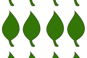 Зеленые листья шаблоны для вырезания