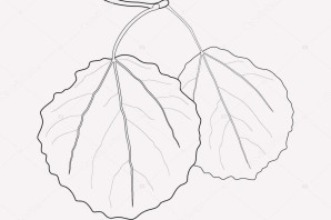 Лист осины трафарет