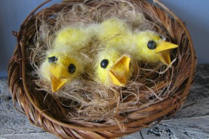 Поделка гнездо с птенцами