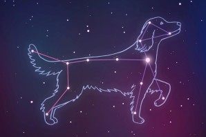 Созвездие пса поделка