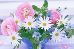 Цветы для женщины красивые ромашки